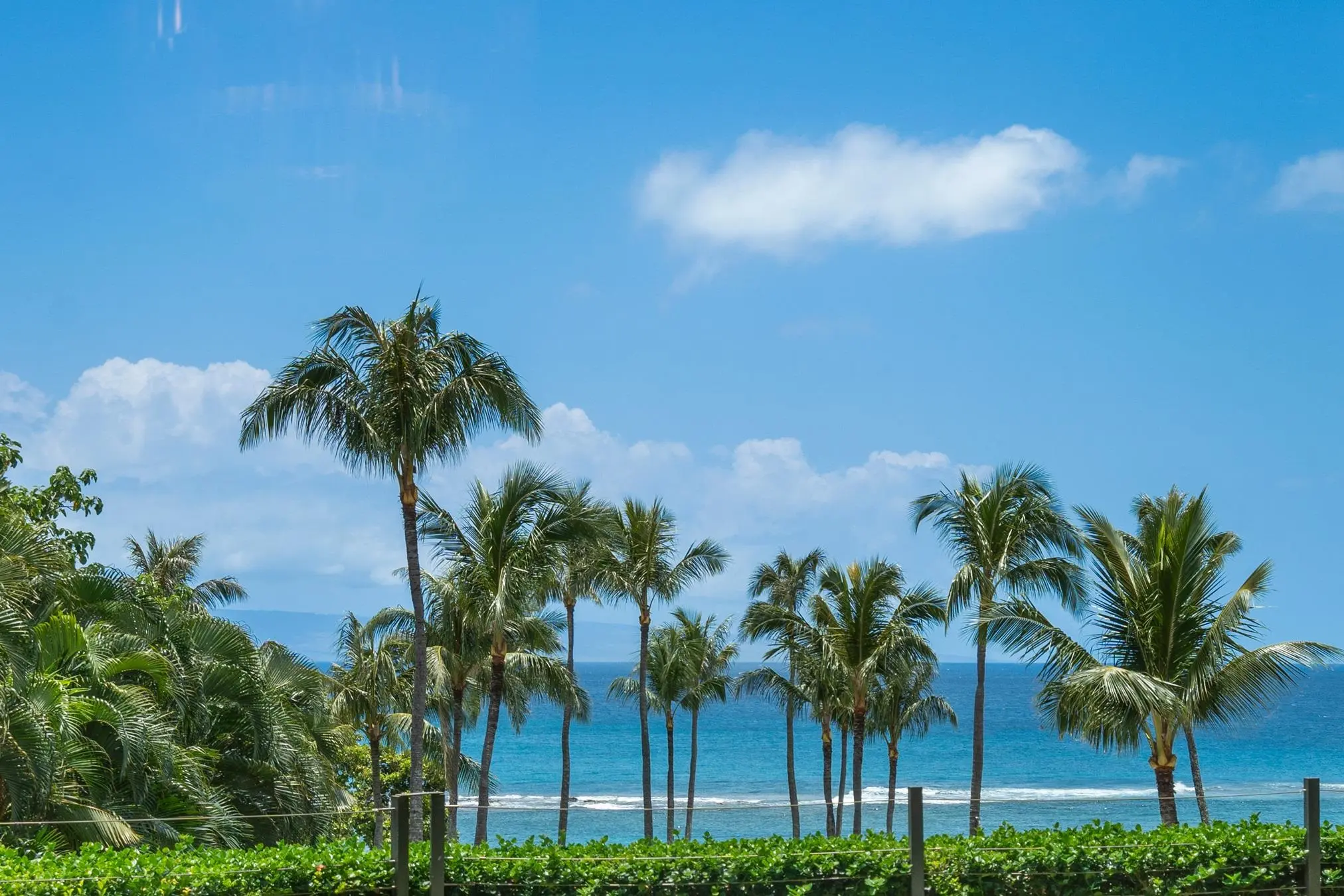1 Bay Dr 5102, Kapalua