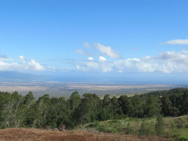 Listing Image for Kula Hwy 1 of 8