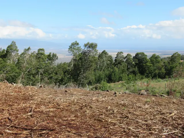 Listing Image for Kula Hwy 2 of 8
