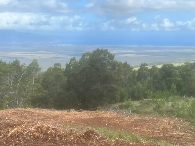 Listing Image for Kula Hwy 5 of 8
