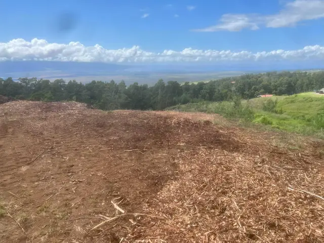 Listing Image for Kula Hwy 7 of 8