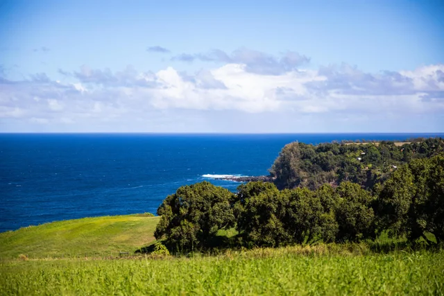 Listing Image for 402 Mehana Rd 12 of 20