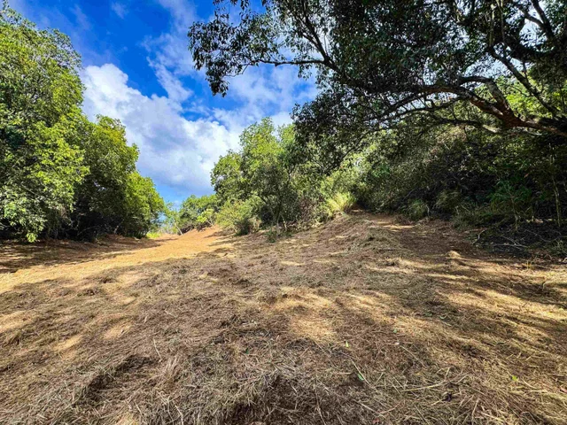 Listing Image for 402 Mehana Rd 14 of 20