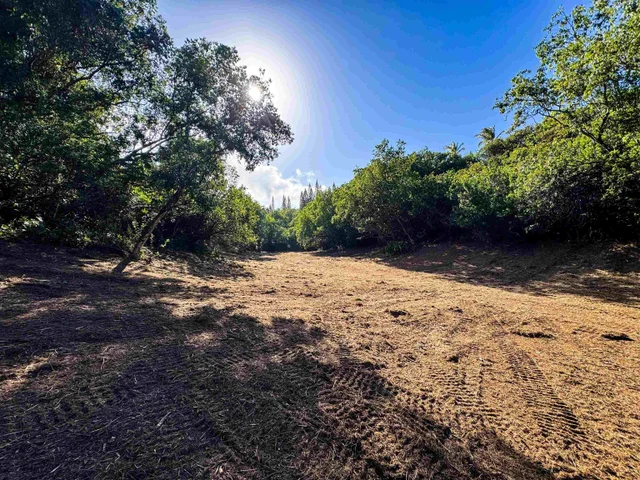 Listing Image for 402 Mehana Rd 15 of 20