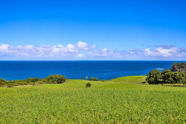 Listing Image for 402 Mehana Rd 19 of 20