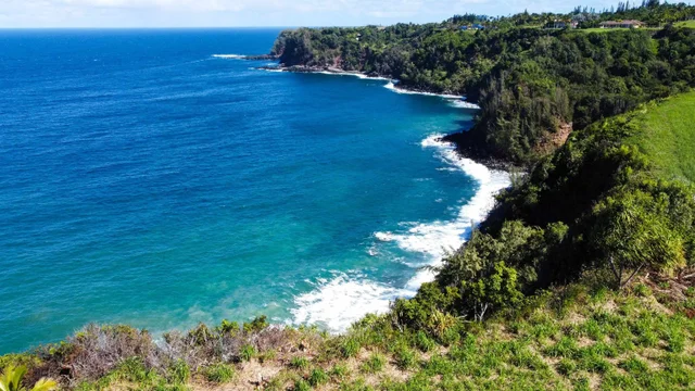 Listing Image for 402 Mehana Rd 2 of 20