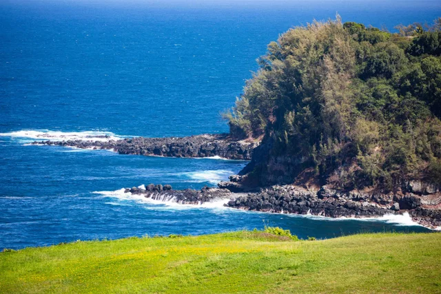 Listing Image for 402 Mehana Rd 20 of 20