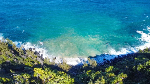 Listing Image for 402 Mehana Rd 3 of 20