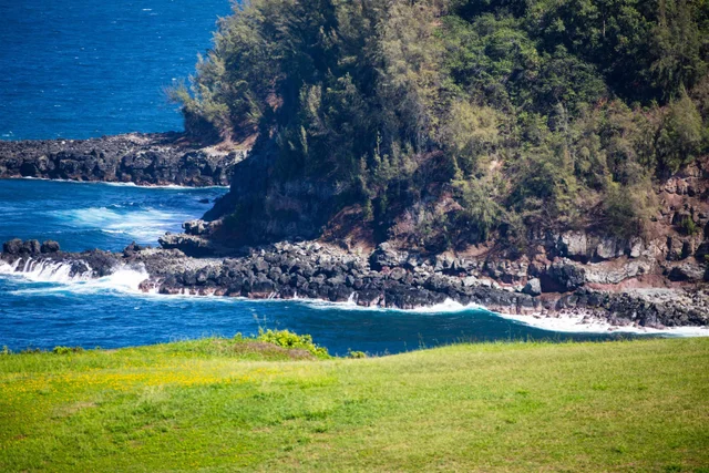 Listing Image for 402 Mehana Rd 4 of 20