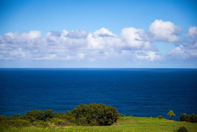 Listing Image for 402 Mehana Rd 5 of 20