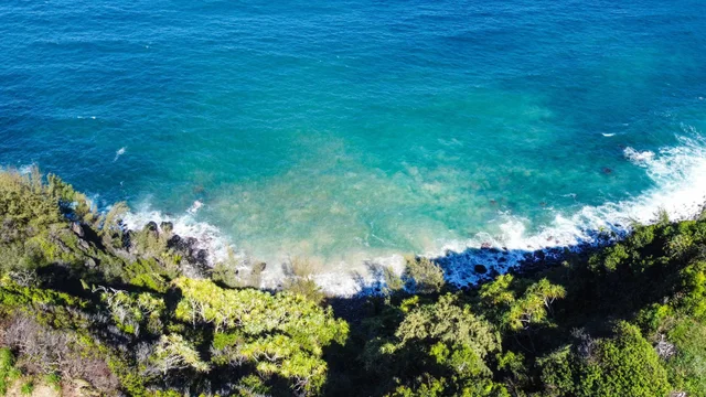 Listing Image for 402 Mehana Rd 7 of 20