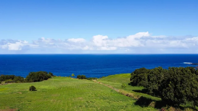 Listing Image for 402 Mehana Rd 8 of 20