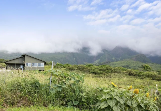 Listing Image for 34701 Piilani Hwy 37 of 41