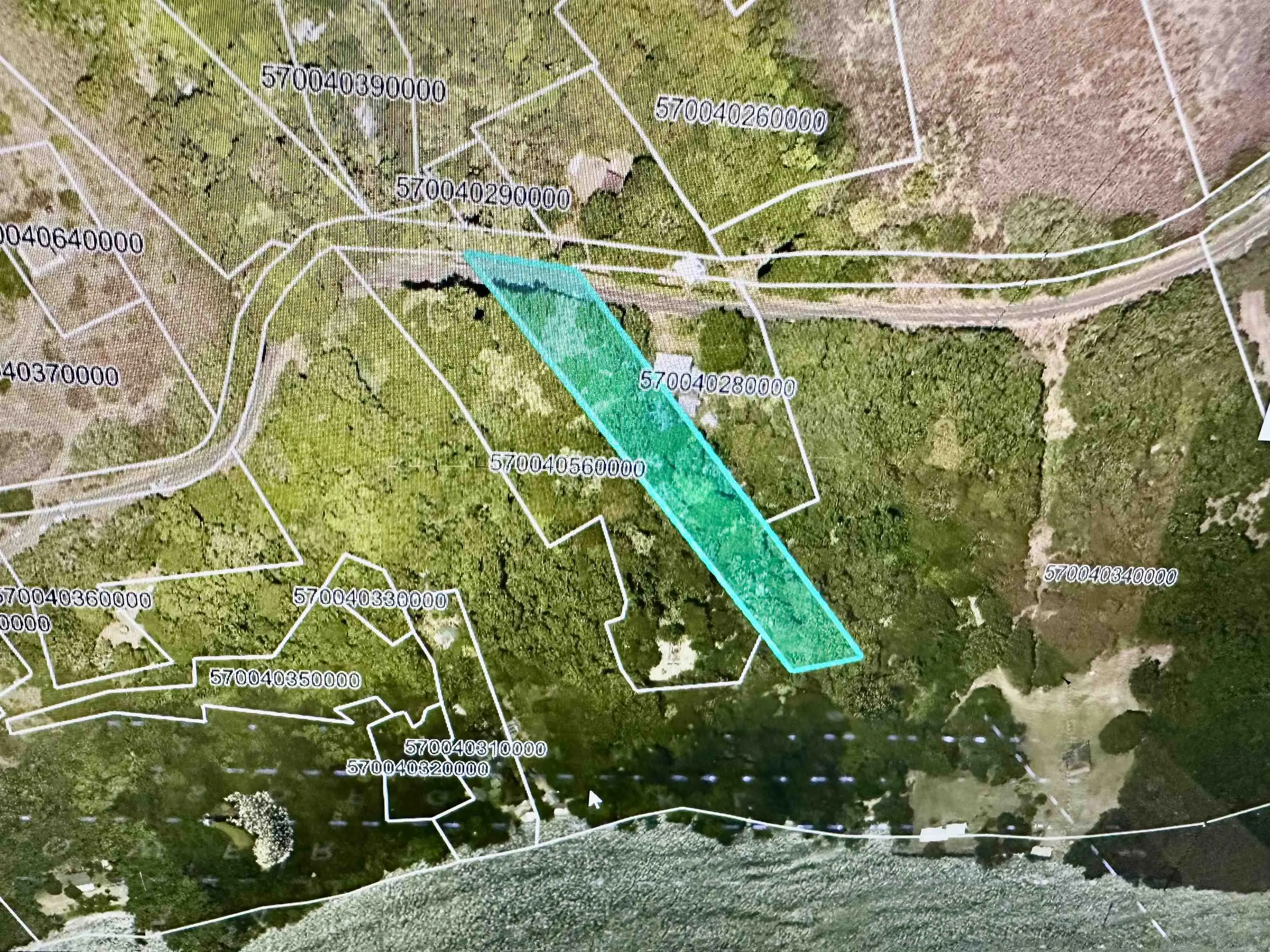 Photo of Listing #406631