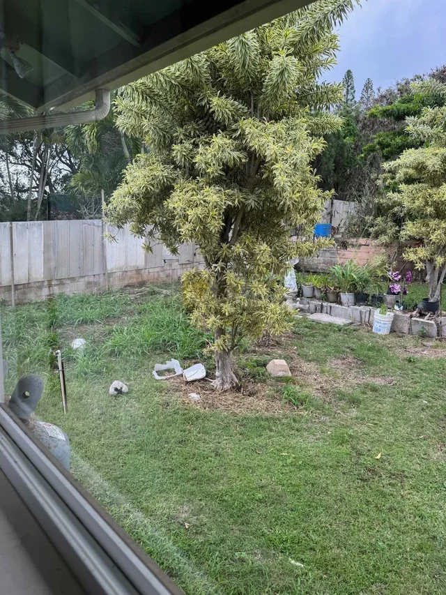 Listing Image for 2003 Kahekili Hwy 7 of 41