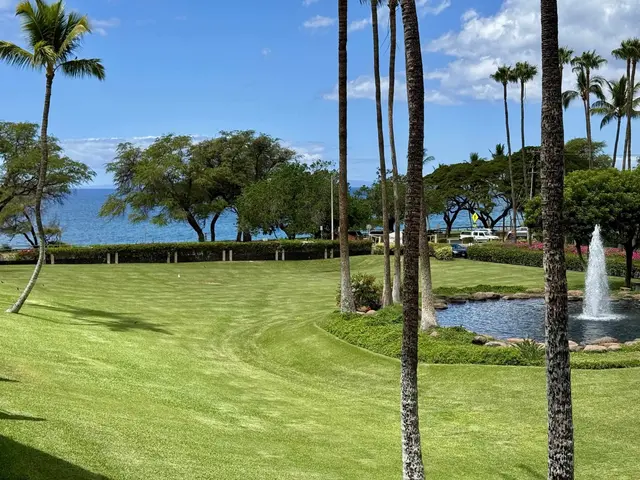 Listing Image for 2695 S Kihei Rd 10213 1 of 43