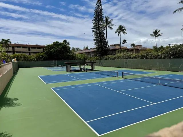 Listing Image for 2695 S Kihei Rd 10213 29 of 43