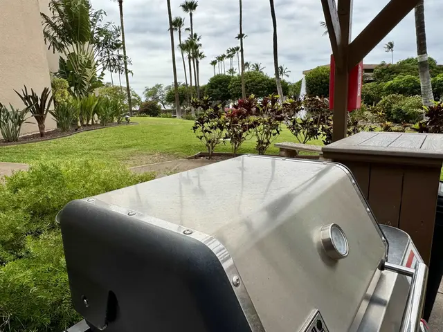 Listing Image for 2695 S Kihei Rd 10213 35 of 43