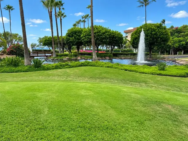 Listing Image for 2695 S Kihei Rd 10213 37 of 43