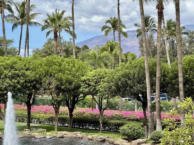 Listing Image for 2695 S Kihei Rd 10213 38 of 43