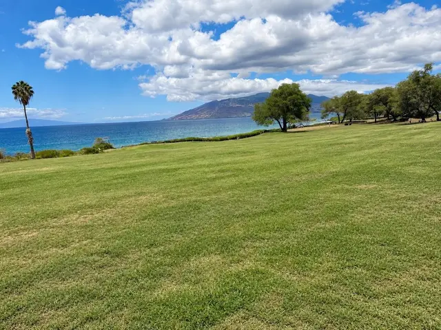 Listing Image for 2695 S Kihei Rd 10213 39 of 43