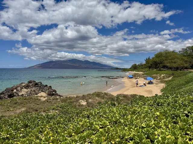 Listing Image for 2695 S Kihei Rd 10213 41 of 43
