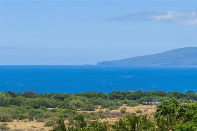 Listing Image for 295 Luawai St 12a 29 of 50