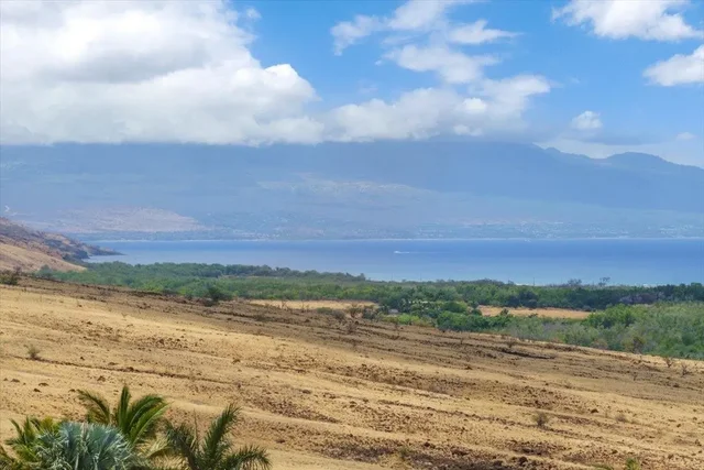 Listing Image for 295 Luawai St 12a 38 of 50