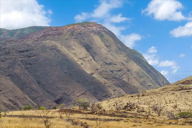 Listing Image for 295 Luawai St 12a 41 of 50