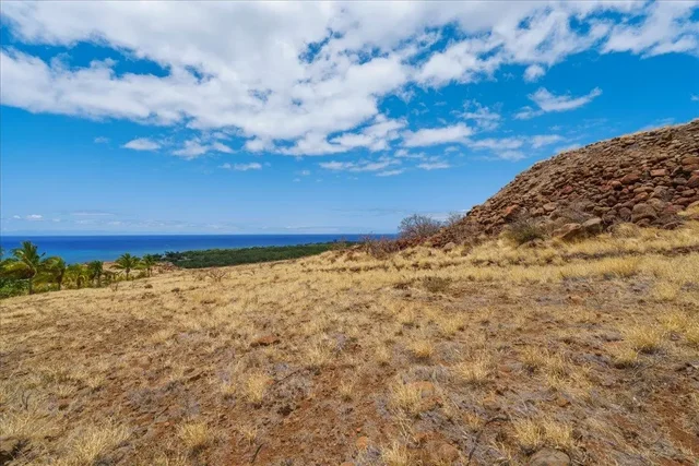 Listing Image for 295 Luawai St 12a 43 of 50