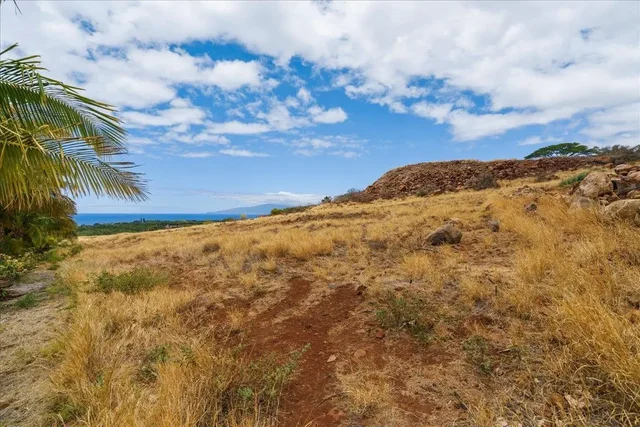 Listing Image for 295 Luawai St 12a 44 of 50