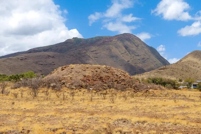 Listing Image for 295 Luawai St 12a 47 of 50