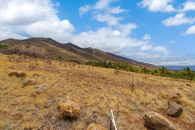 Listing Image for 295 Luawai St 12a 48 of 50