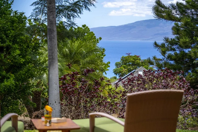 Listing Image for 23 W Huapala Pl 29 of 37