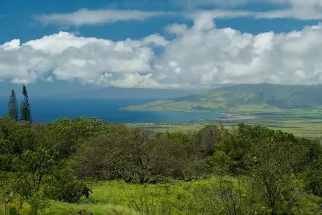 Listing Image for 1260 Naalae Rd 15 of 50