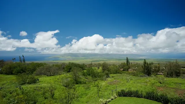 Listing Image for 1260 Naalae Rd 18 of 50
