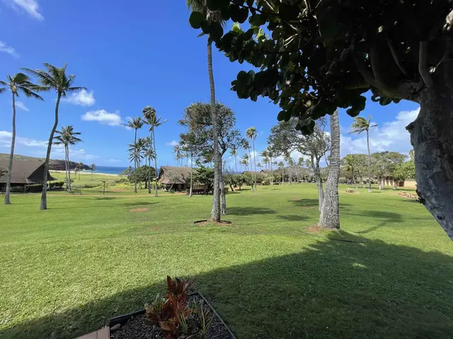 Listing Image for 255 Kepuhi Pl 18a01 22 of 22