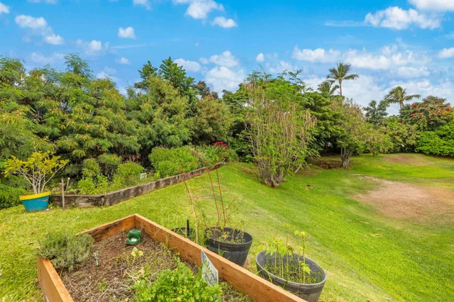 Listing Image for 50 Puu Anoano St 1704 45 of 49