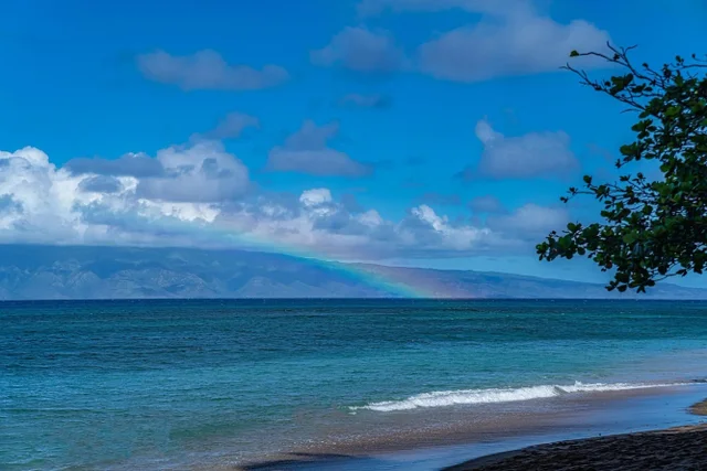 Listing Image for 4299 Lower Honoapiilani Rd 263 25 of 30