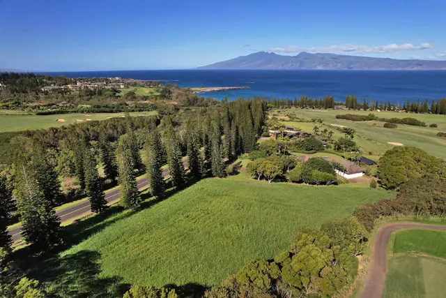 Listing Image for 309 Plantation Estates Dr 10 of 36