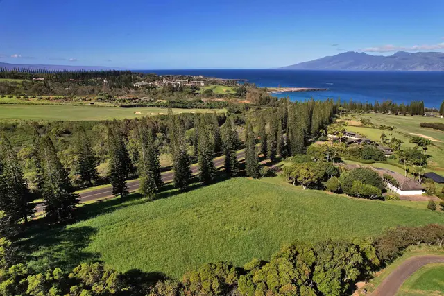 Listing Image for 309 Plantation Estates Dr 11 of 36