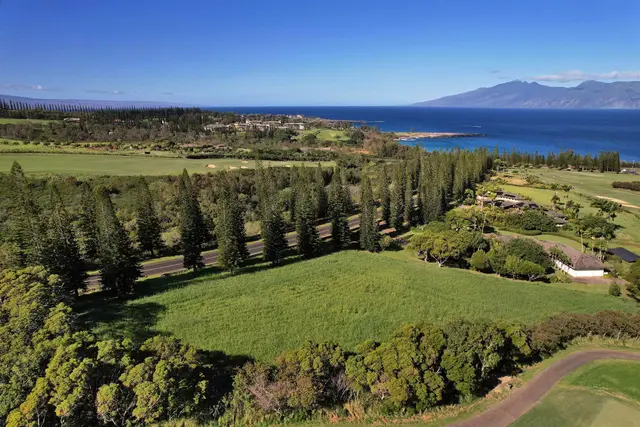 Listing Image for 309 Plantation Estates Dr 12 of 36