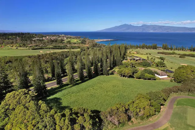 Listing Image for 309 Plantation Estates Dr 13 of 36
