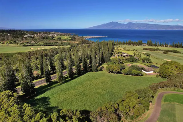 Listing Image for 309 Plantation Estates Dr 14 of 36