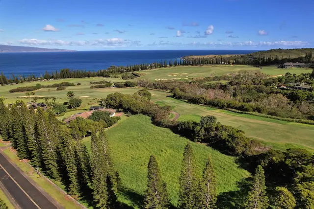 Listing Image for 309 Plantation Estates Dr 16 of 36