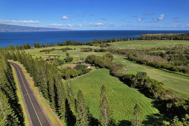 Listing Image for 309 Plantation Estates Dr 17 of 36