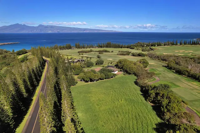 Listing Image for 309 Plantation Estates Dr 18 of 36