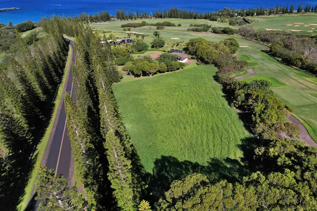 Listing Image for 309 Plantation Estates Dr 19 of 36
