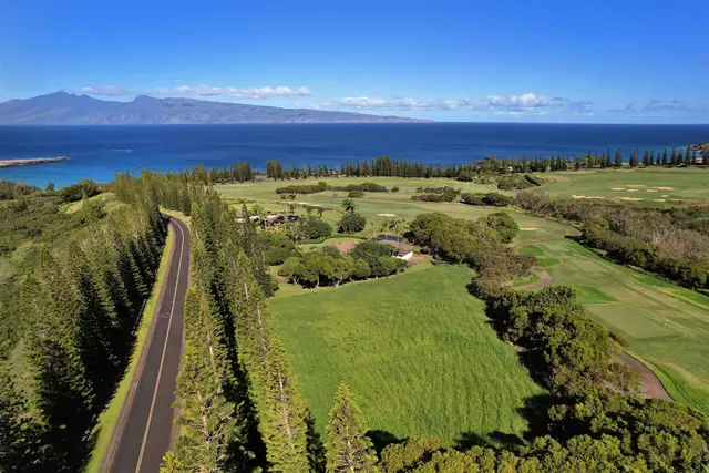 Listing Image for 309 Plantation Estates Dr 20 of 36