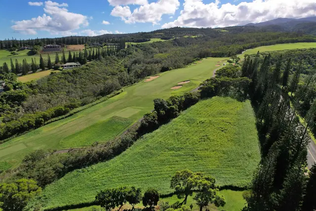 Listing Image for 309 Plantation Estates Dr 22 of 36